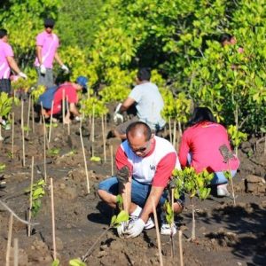 reforestacion 1