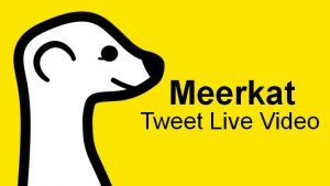 meerkat live streaming