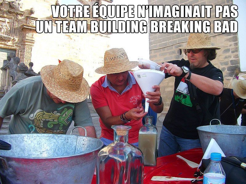mèmes team building