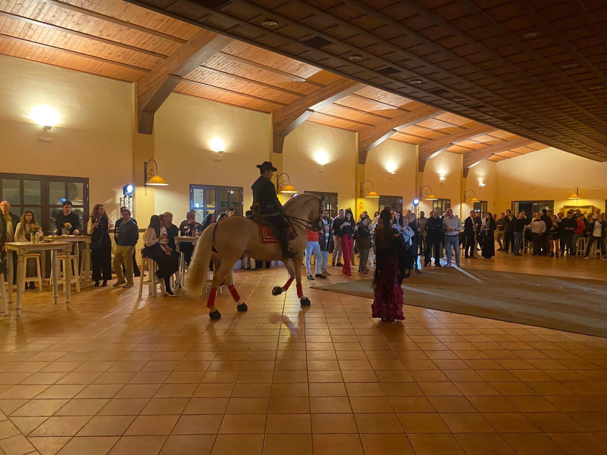 Espectáculo ecuestre con bailaora flamenca durante un evento corporativo en interior, organizado por Es.Cultura Eventos.