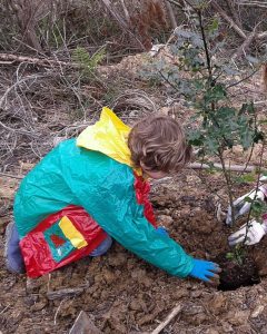 Acción de reforestación en proyecto de RSC ambiental con participación de niños y familias