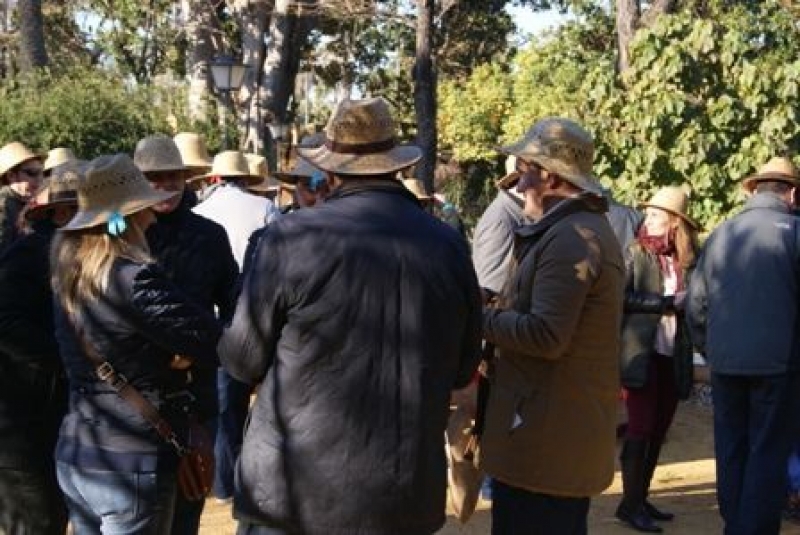 Convención solidaria