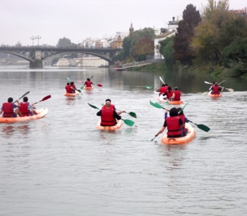 kayaks
